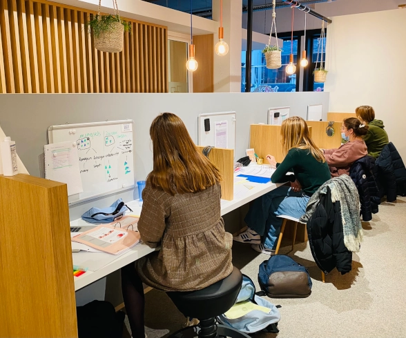 Begeleide examenstudie